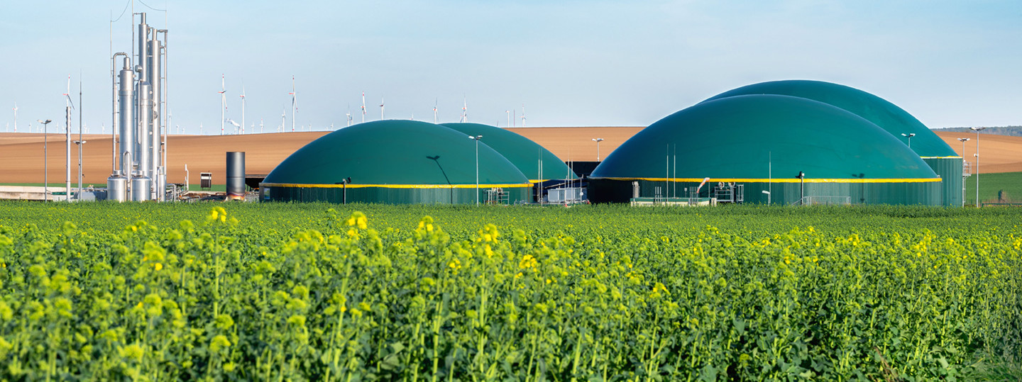 Moderne Biogasanlage zwischen Rapsfeldern in ländlicher Region