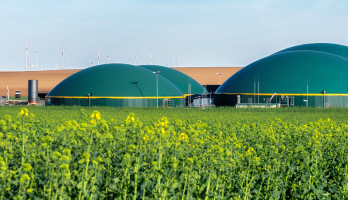 Moderne Biogasanlage zwischen Rapsfeldern in ländlicher Region
